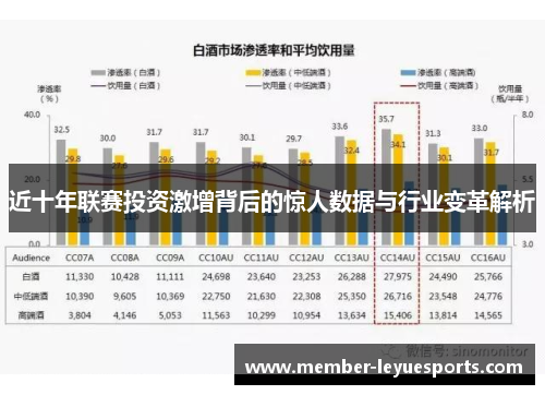 近十年联赛投资激增背后的惊人数据与行业变革解析 近十年联赛投资激增背后的惊人数据与行业变革解析