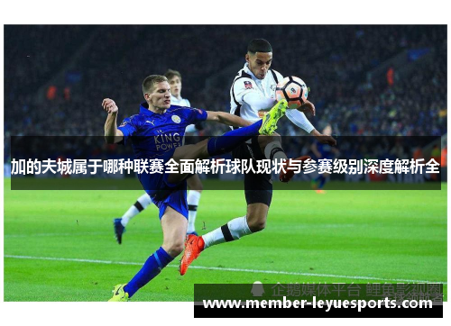 加的夫城属于哪种联赛全面解析球队现状与参赛级别深度解析全 加的夫城属于哪种联赛全面解析球队现状与参赛级别深度解析全