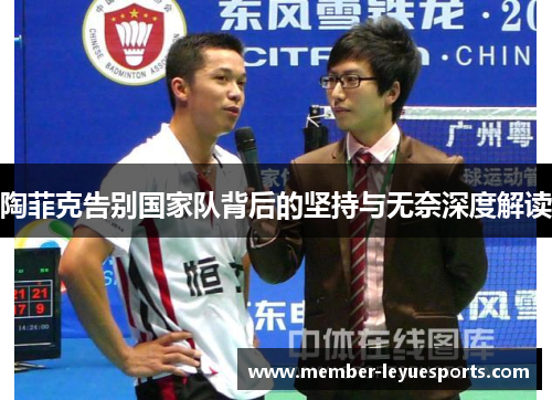 陶菲克告别国家队背后的坚持与无奈深度解读