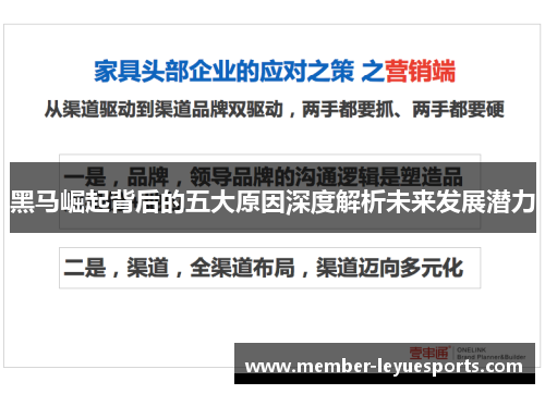 黑马崛起背后的五大原因深度解析未来发展潜力 黑马崛起背后的五大原因深度解析未来发展潜力
